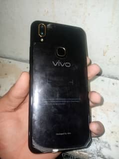 Vivo