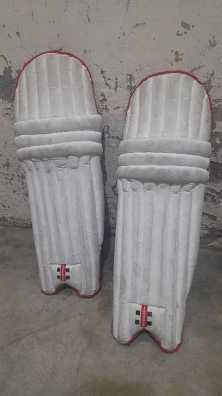 Hard ball cricket full kit 2 month use very good condition 6