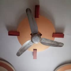 Polo Ceiling Copper Fan for sale