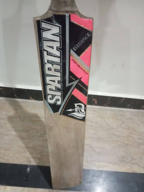 CRICKET HARDBALL SPARTAN BAT || PREMIUM QUALITY 2