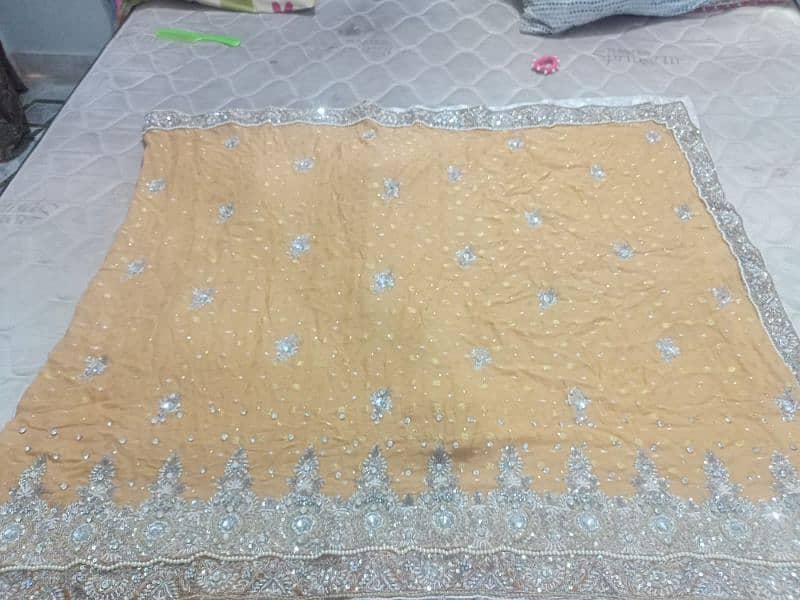 Bridal Sharara 0