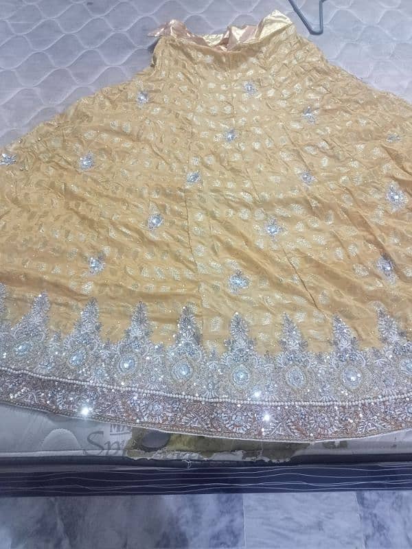 Bridal Sharara 2