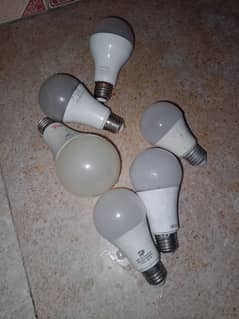 Bulb