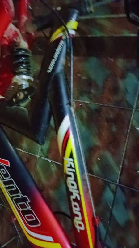 Vento mountain bike and road bike 1