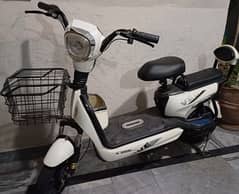 Electric Bike