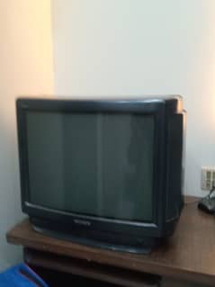 Sony TV with TV trolley