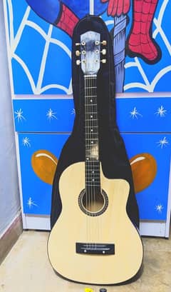 Acoustic guitar