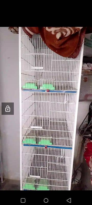 lovebirds setup for sale 6