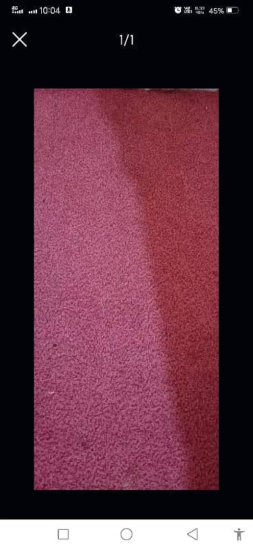 carpet 0