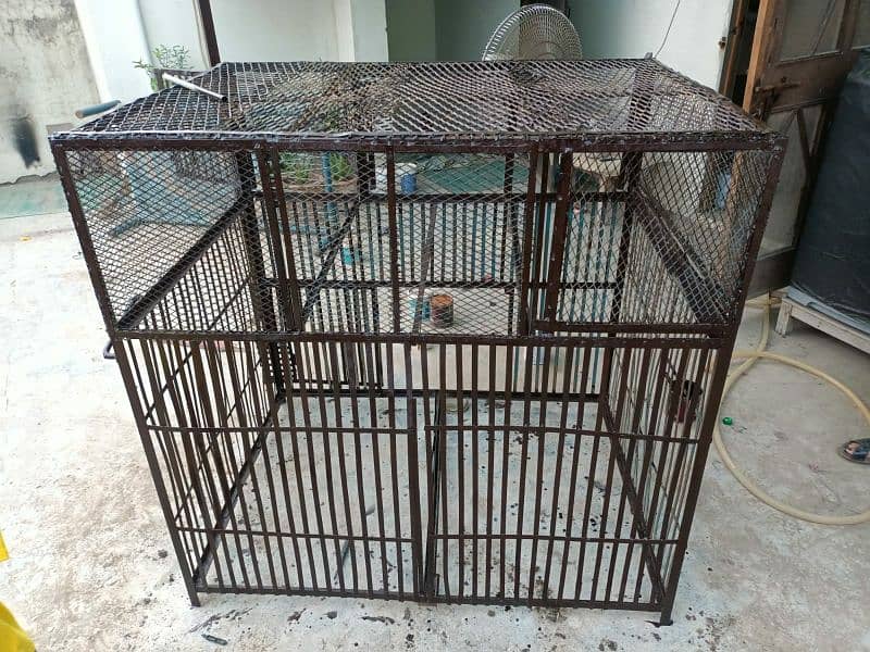 iron hen cage 0