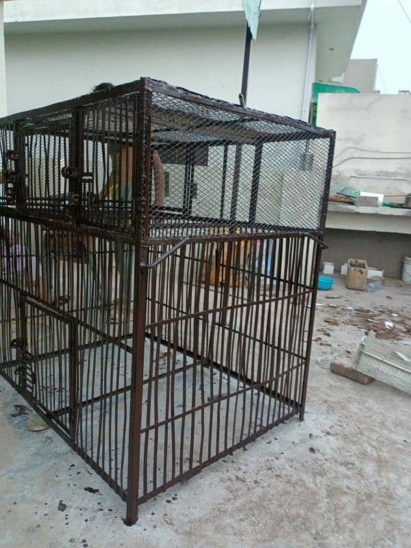 iron hen cage 3