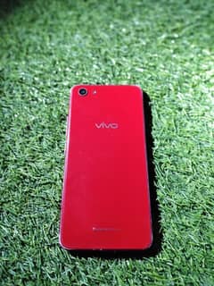 vivo