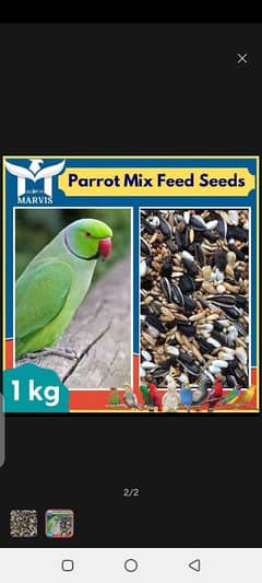 love Australian perrot cocktail Raw katha feed