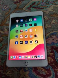 Ipad mini 5