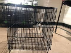 Cage for sale