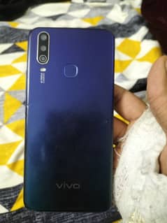 vivo