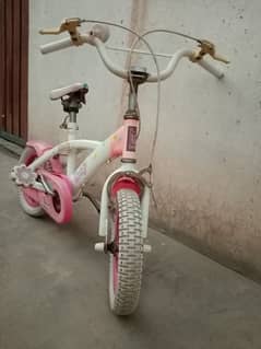 Kids bicycle