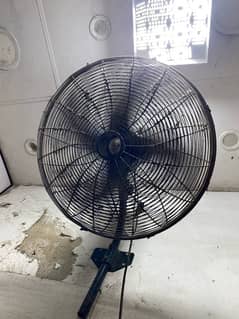 fan