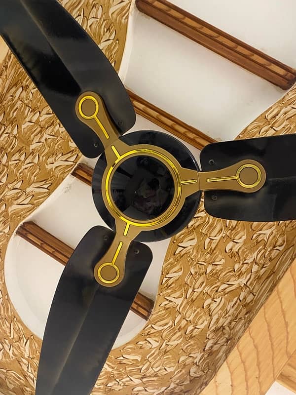 3 GFC Superior Fans (Black & Gold) 1