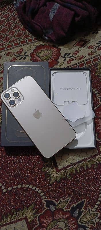 iPhone 12 Pro Max 256gb gold colour PTA official physical double 0