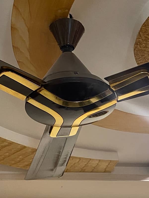 2 GFC Mansion Fans (Black & Gold) 3