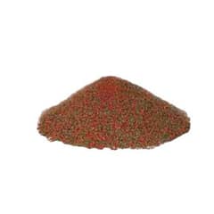 Fish /Mix Feed  at whole sale rate