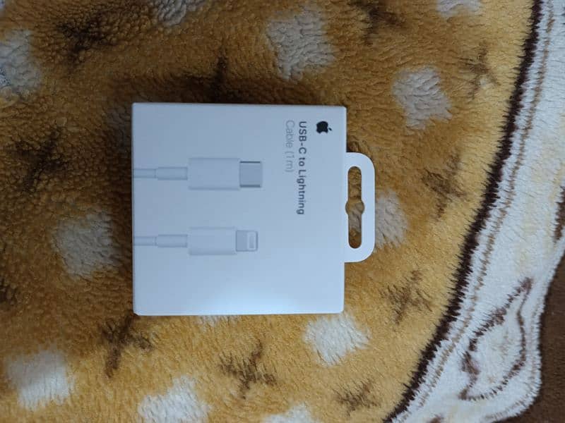 Iphone USB To lightning 100 important Dubai Apple Store 2