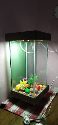 aquarium fish tank