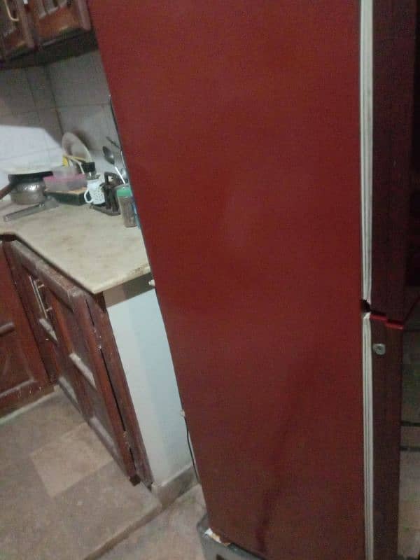 pel fridge glass door new model 4