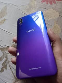 vivo