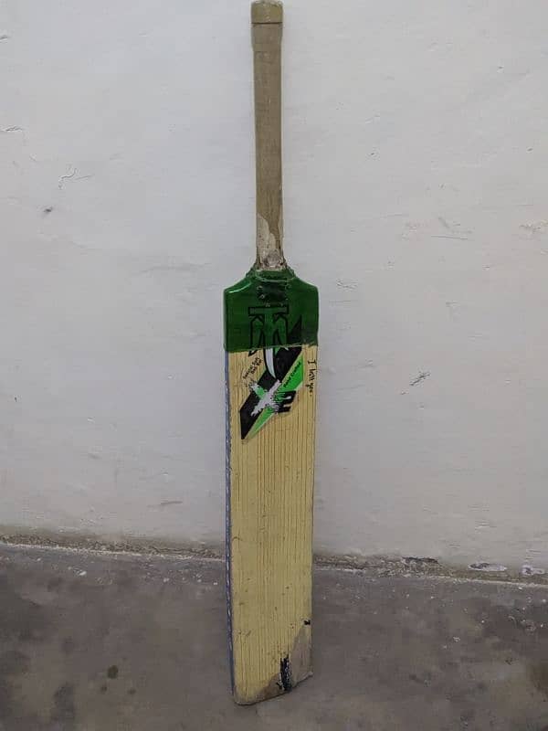 bat for cricket lovers 1