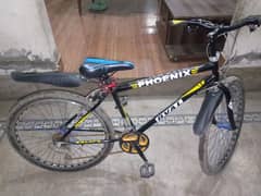 16 inch phoneix Bicycle