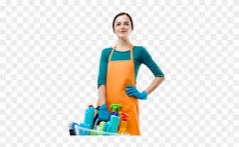 WE OFFER MAID COOK CLEANING DRIVER 0