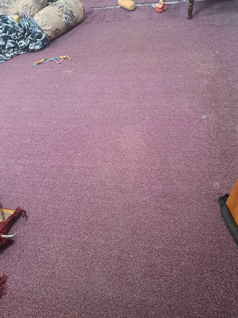 6 carpet fo slae 3