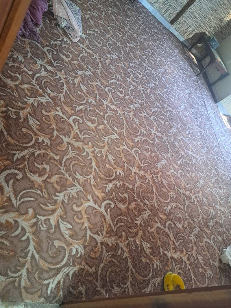 6 carpet fo slae 4