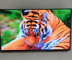 LG 4K 55" SMART LED TV