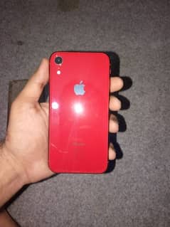 I phone XR non PTA