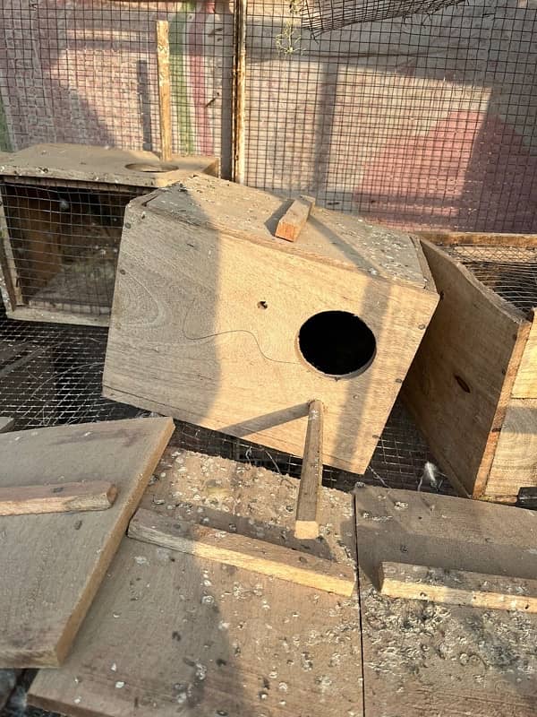 love birds boxes for sale 0