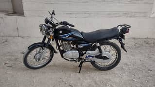 suzuki GS 2015