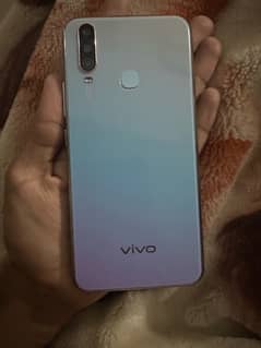 VIVO