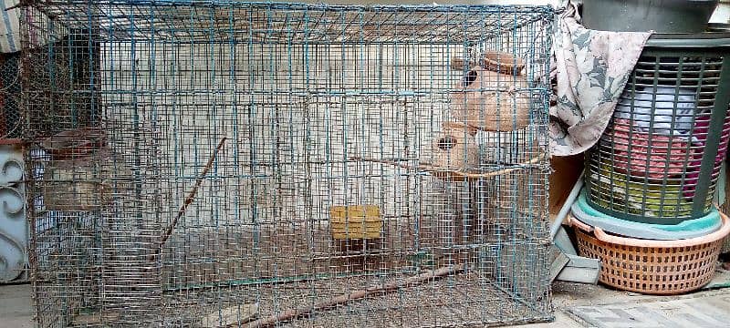 Big size colony cage full iron 1