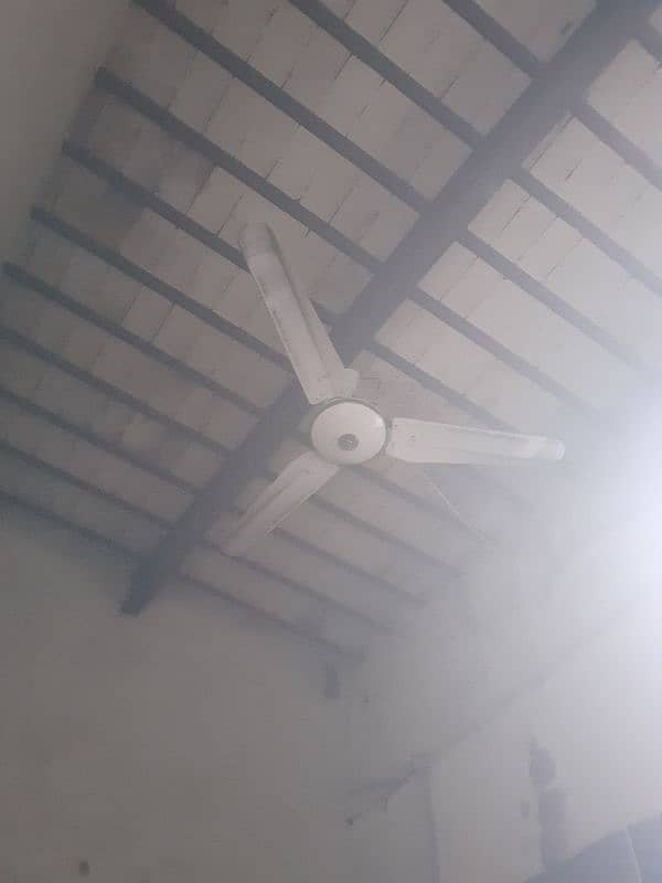 selling fan new 0