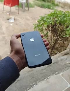 iPhone XR