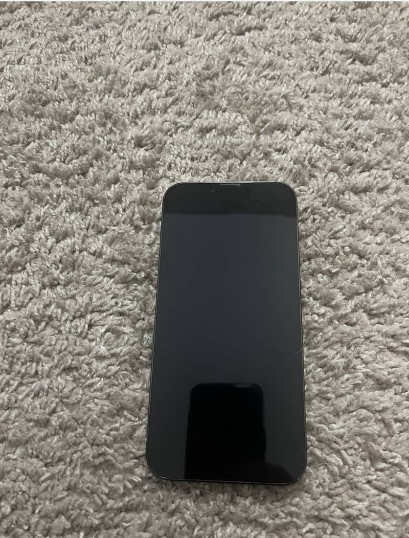 Iphone 13 Pro Max 1 TB 1