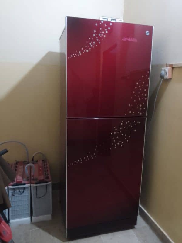 pel glass double Door Frij 3