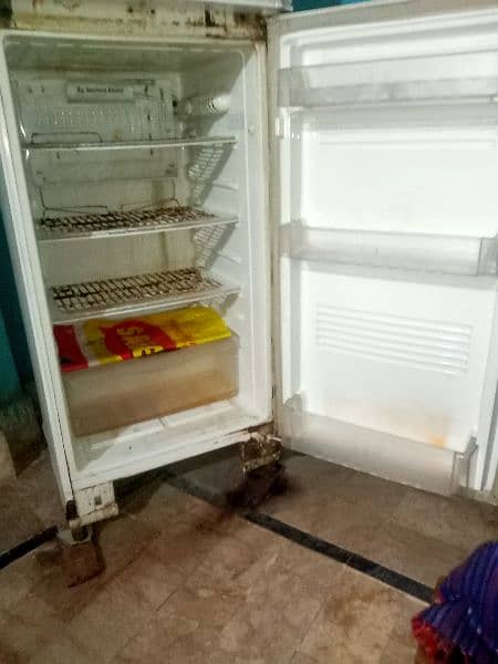 Old Pel Refrigerator 4