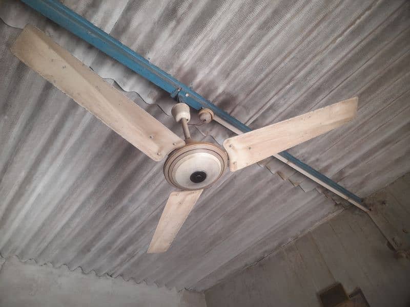 used Celling fan & pedestal sell 0