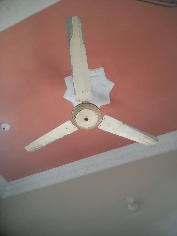 used Celling fan & pedestal sell 1