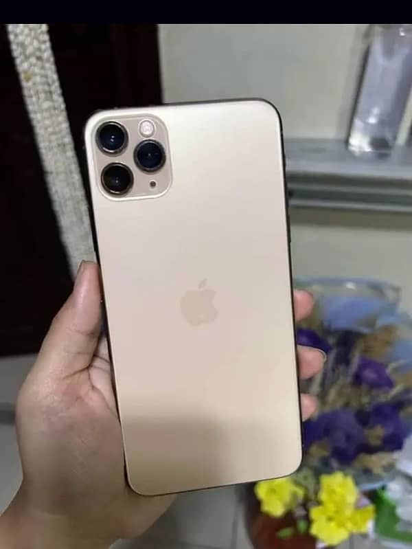 iPhone 11 Pro Max 1