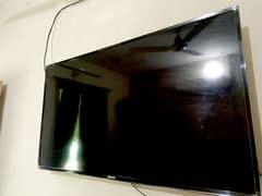 Hisense 50 Inch LED TV